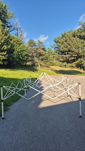 Lot #186 (1 of 20)