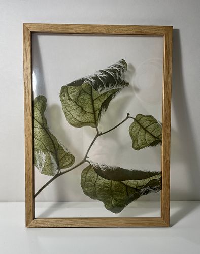 Lot #32 (1 of 10)
