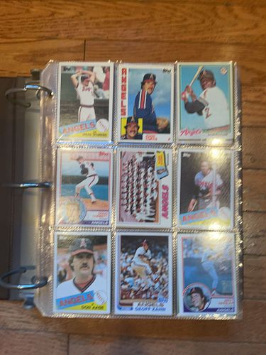 Lot #241 (1 of 20)