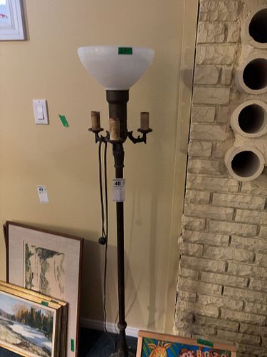 Lot #48 (1 of 9)