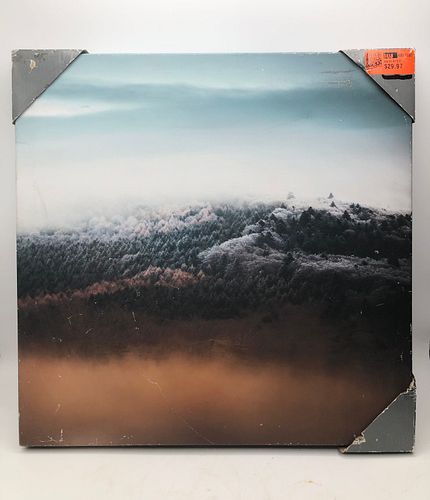 Lot #31 (1 of 1)