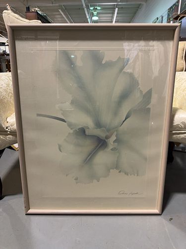 Lot #12 (1 of 3)