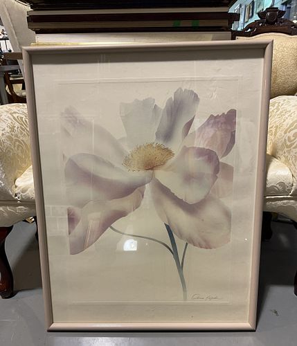 Lot #23 (1 of 3)