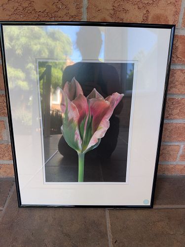 Lot #54 (1 of 4)
