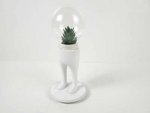 Lot #832 (1 of 6)