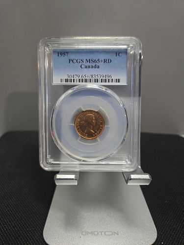 Lot #1 (1 of 3)