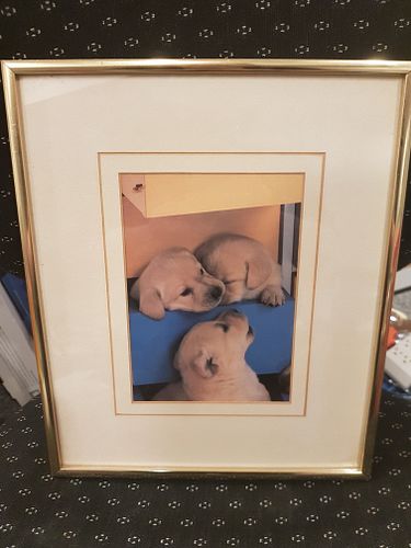 Lot #4 (1 of 4)