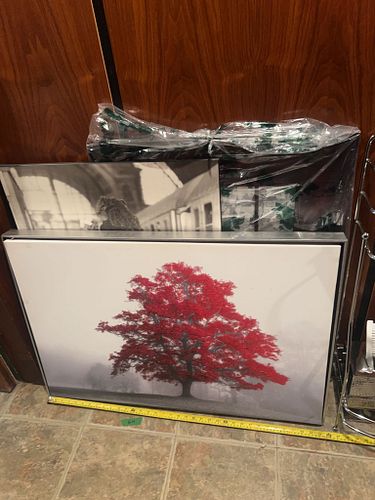 Lot #64 (1 of 6)