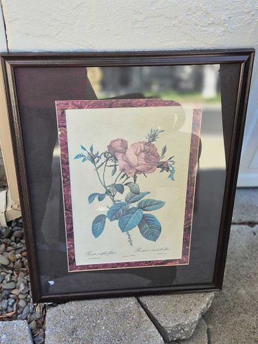 Lot #9 (1 of 7)