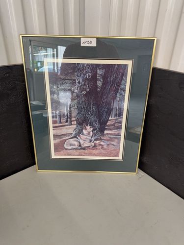 Lot #30 (1 of 3)