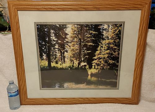 Lot #35 (1 of 4)