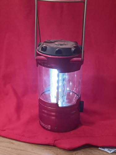 Lot #42 (1 of 12)