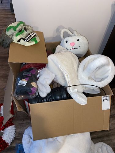 Lot #256 (1 of 6)