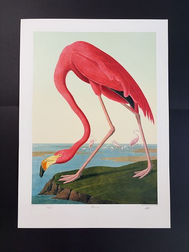 Lot #3 (1 of 12)
