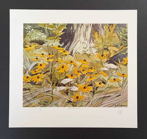 Lot #5 (1 of 15)