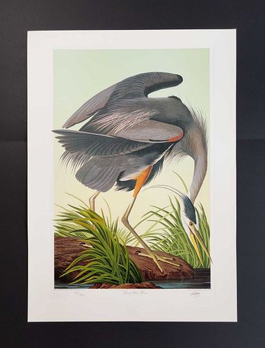 Lot #7 (1 of 13)
