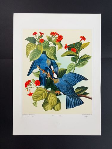 Lot #15 (1 of 14)