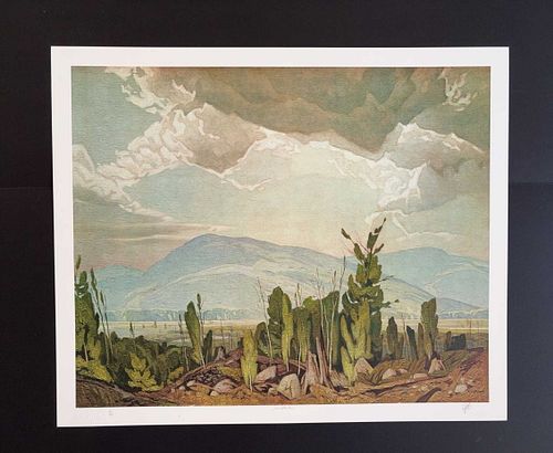 Lot #29 (1 of 16)