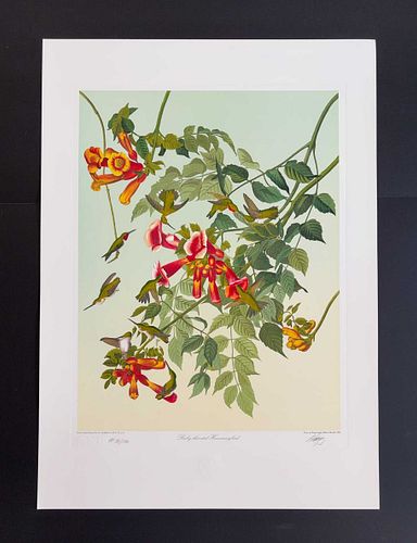 Lot #31 (1 of 13)