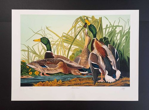 Lot #50 (1 of 18)
