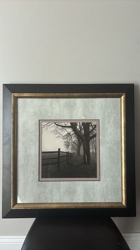 Lot #24 (1 of 11)