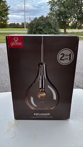 Lot #36 (1 of 6)