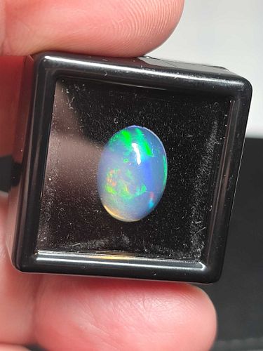 Lot #42 (1 of 8)