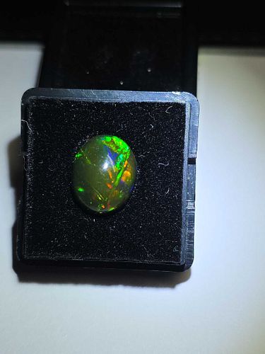 Lot #48 (1 of 16)
