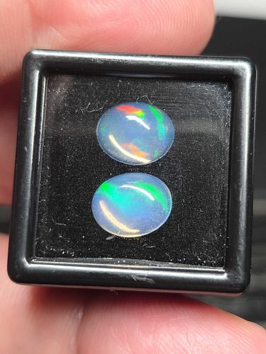 Lot #49 (1 of 8)