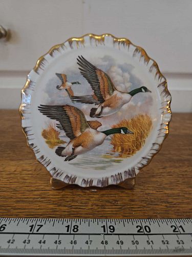 Lot #50 (1 of 7)