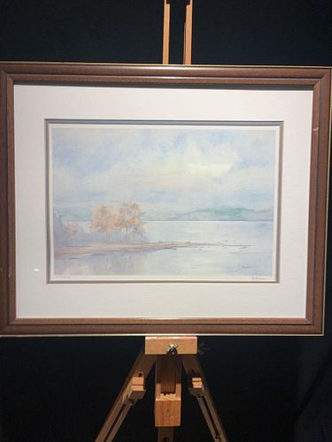 Lot #20 (1 of 7)