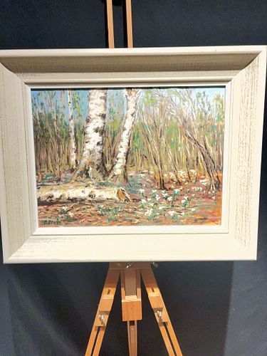 Lot #62 (1 of 11)