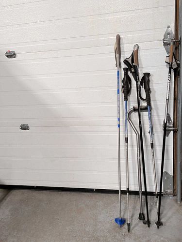 Lot #43 (1 of 3)