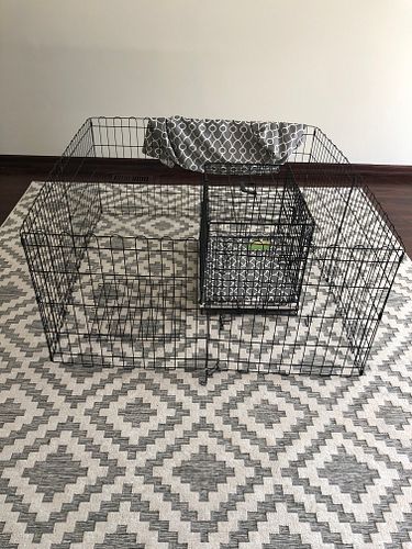 Lot #11 (1 of 6)