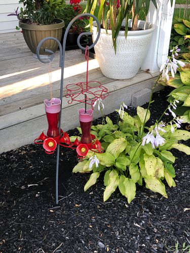 Lot #22 (1 of 3)