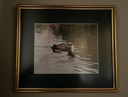 Lot #28 (1 of 5)