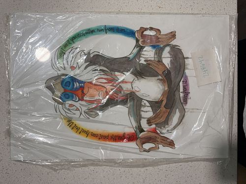 Lot #22 (1 of 6)