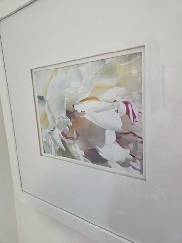 Lot #24 (1 of 7)