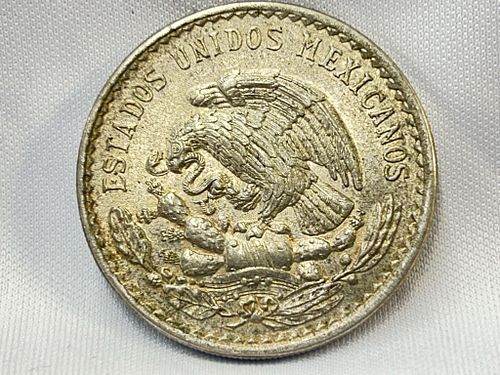 Lot #19 (1 of 7)