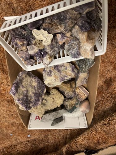 Lot #308 (1 of 7)