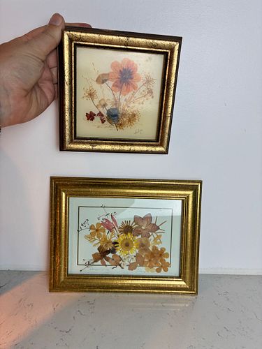 Lot #160 (1 of 4)
