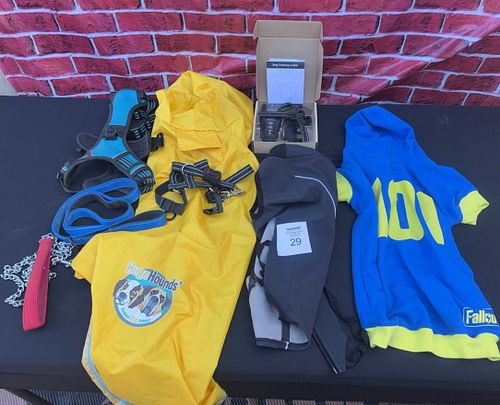Lot #29 (1 of 18)