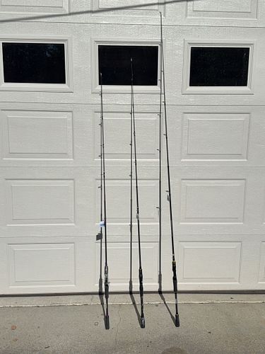 Lot #24 (1 of 4)