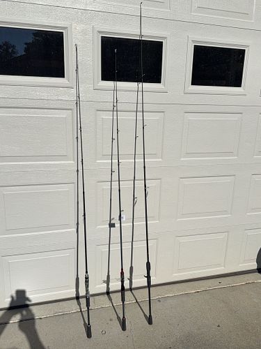 Lot #47 (1 of 4)