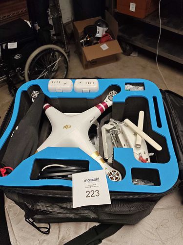 Lot #223 (1 of 6)