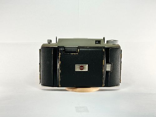 Lot #43 (1 of 3)