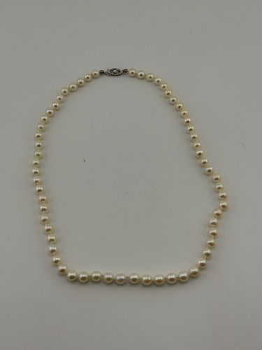 Lot #23 (1 of 4)