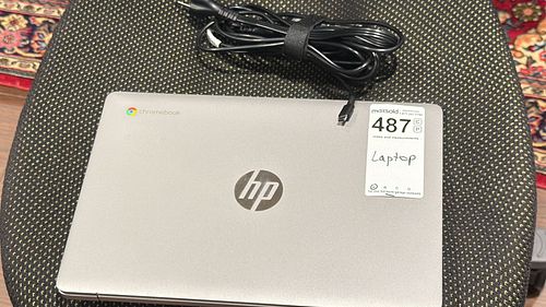 Lot #487 (1 of 12)