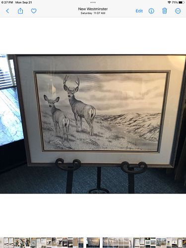 Lot #21 (1 of 7)