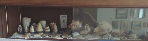 Lot #33 (1 of 5)